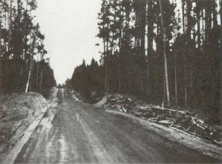 roadside cleanup, Yellowstone NP