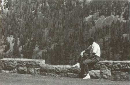 rock guardrail