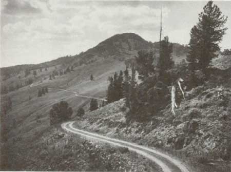 road over Dunraven Pass, Yellowstone NP