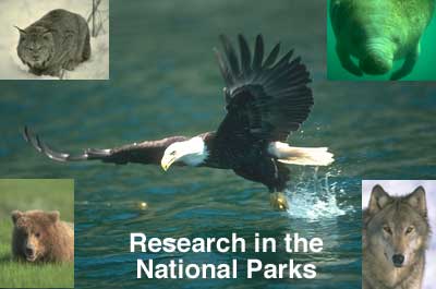 Research in the National Parks