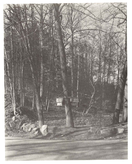 Rustic Signs at Beach Drive and Military Road