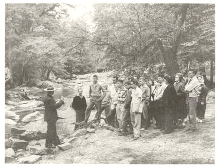 Guided Walk