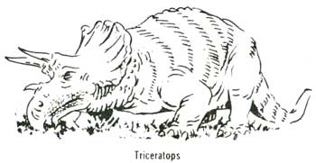 Triceratops