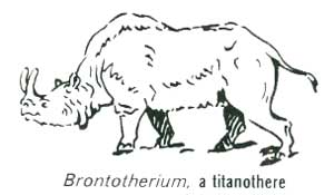 Brontotherium, a titanothere