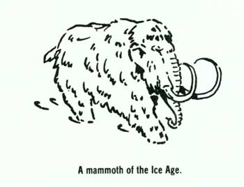 A mammoth of the Ice Age