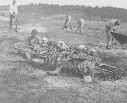 African Americans collecting bones of soldiers killed in battle