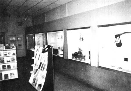 museum exhibits