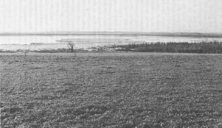 Sheboygan Marsh