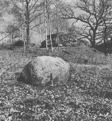 igneous rock erratic