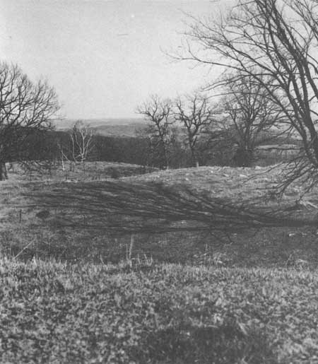 Knob and swale topography