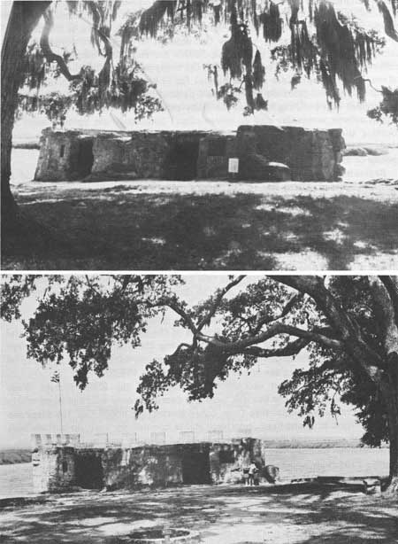 Spanish moss and live oaks