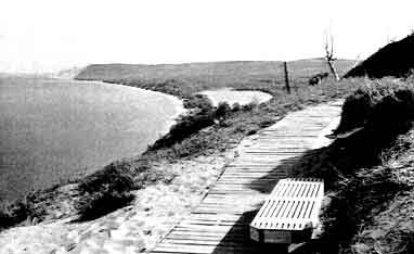 The end of the trail, Empire Bluff, 1989.