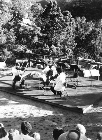Telluride String Ensemble