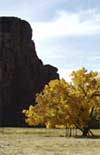 Canyon de Chelly