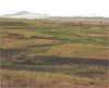 Bear Paw Battlefield