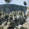 Chiricahua