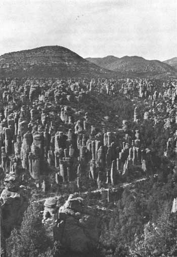 Upper Rhyolite Canyon