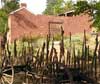 Pipe Spring
