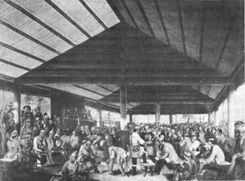 Cherokee council