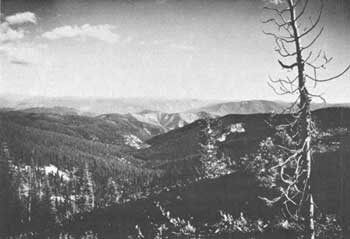 Lolo Trail