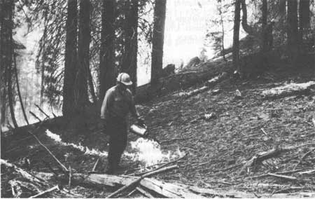 forestry foreman uses a drip torch