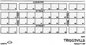 town map