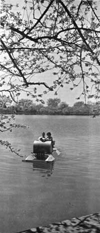 paddleboat on lake