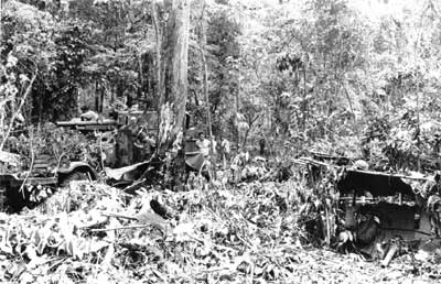 Marines in forest