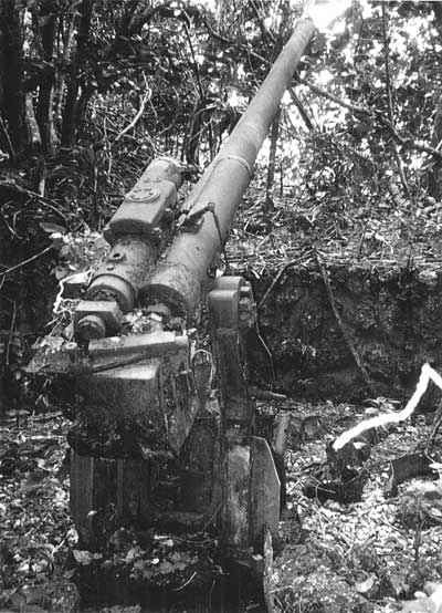 Model 10 120mm dual-purpose antiaircraft and coastal defense gun