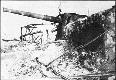 coastal defense gun