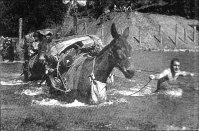 soldier with mule