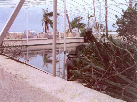 supertyphoon storm damage