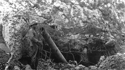 Japanese coastal defense gun