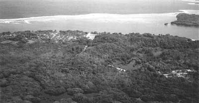 aerial view of coast