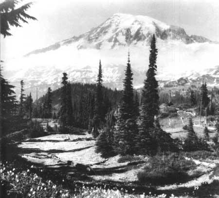 Mount Rainier