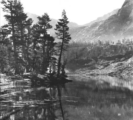 Wilderness Camp