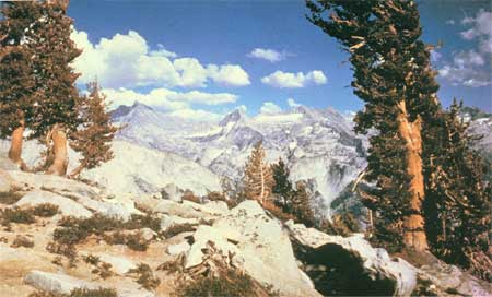 Kings Canyon NP