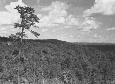 Pine Mountain State Park Extension