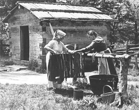 women wearing costumes