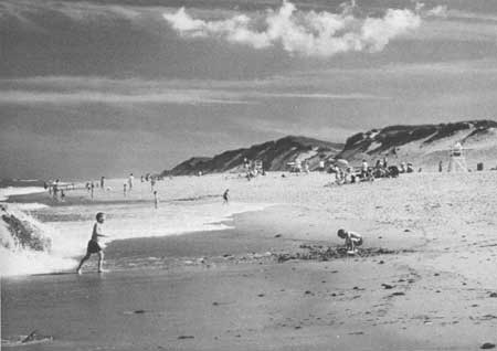 Cape Cod National Seashore