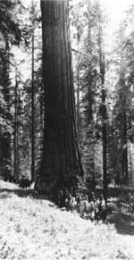 soldiers, Yosemite NP