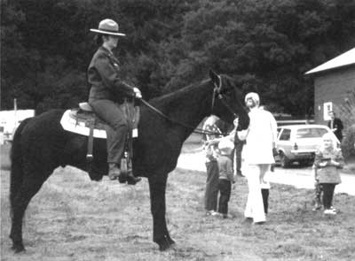 horse patrol