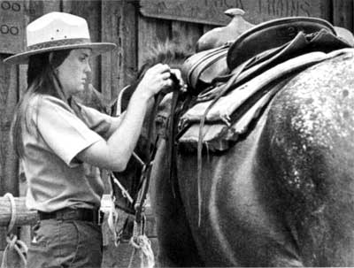 Susan Ford