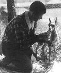 Marguerite Lindsley