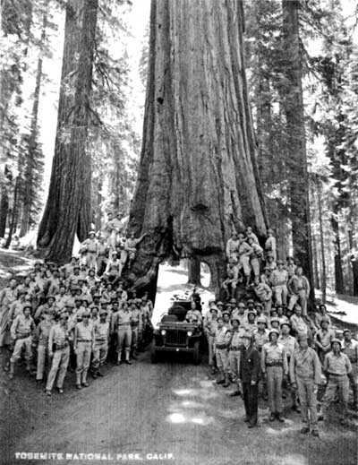 Group at Tunnel Tree