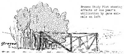 browse study plot