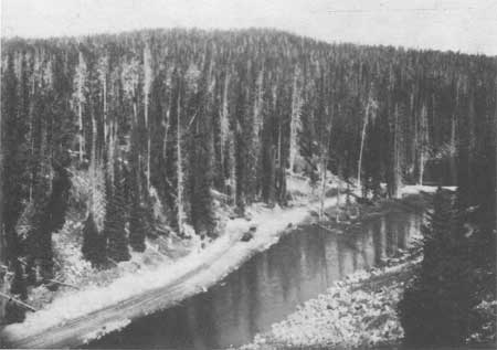 Road at Isa Lake