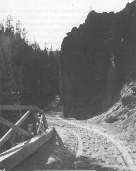 Road Near Virginia Cascades on Gibbon River