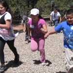 features predator prey 3rd gr 150 25