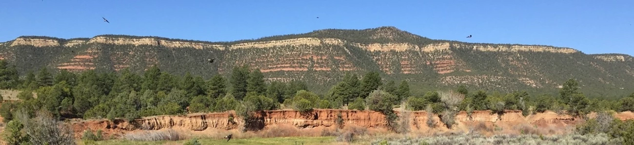 A view of Glorieta Mesa near Glorieta Creek. green and orange stone hill and blue sky